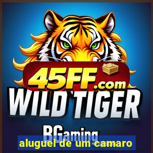aluguel de um camaro